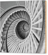 Spiral Staircase Lowndes Grove #1 Wood Print