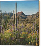 Spring In The Sonoran  #2 Wood Print