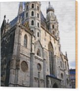 St Stephens Cathedral Vienna #2 Wood Print