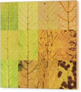 Swatches - Autumn Leaves Inspired By Gerhard Richter #6 Wood Print