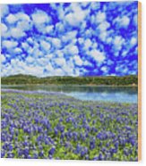 Texas Hill Country Wood Print