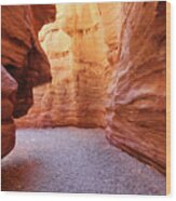 The Red Canyon Near Eilat, Israel  #1 Wood Print