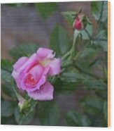 The Rose #1 Wood Print