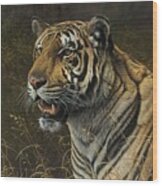 Tiger Portrait #1 Wood Print