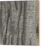 Tree Trunk #1 Wood Print