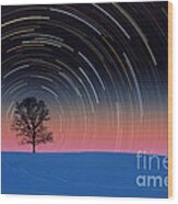 Tree With Star Trails #1 Wood Print