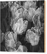 Tulips #1 Wood Print