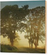 Twilight Guardians. Misty Roads Of Scotland Wood Print