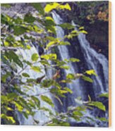 Upper Rock Creek Falls #1 Wood Print