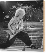 Van Halen '86 #5 Wood Print