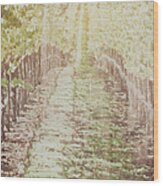 Vineyard In Autumn With Vintage Film Style Filter #1 Wood Print