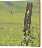 Warbler In The Meadow Wood Print