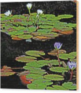 Waterlilies 6 Wood Print