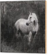 White Horse #1 Wood Print