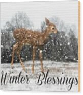Winter Blessings #1 Wood Print