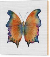 1 Wizard Butterfly Wood Print
