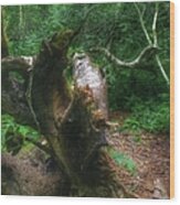 #wood #tree #forest #nature #1 Wood Print