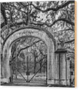 Wormsloe Gate, Savannah, Georgia #1 Wood Print