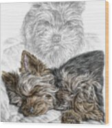 Yorkie - Yorkshire Terrier Dog Print Wood Print