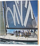 Key West Race Week #980 Wood Print