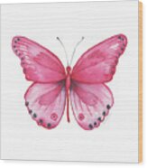 107 Pink Genus Butterfly Wood Print