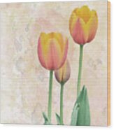 10915 Tip Toe Thru The Tulips Wood Print