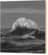 Lake Erie Waves #11 Wood Print