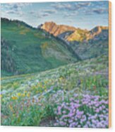 Wasatch Mountains Utah #11 Wood Print