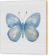 112 Blue Marcia Butterfly Wood Print