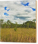 Florida Everglades #17 Wood Print