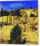 Yellowstone Park #18 Wood Print