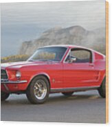 1967 Mustang Fastback I Wood Print