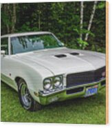 1971 Buick Skylark Gs Wood Print