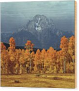 1m9235 Mt. Moran In Autumn Wood Print