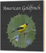 American Goldfinch Wood Print