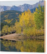 Autumn Aspen At Crystal Creek Reservoir Pikes Peak #2 Wood Print