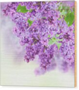 Bush Of Lilac #3 Wood Print
