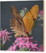 Butterfly #3 Wood Print