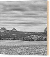 Devils Tower National Monument #2 Wood Print