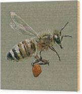 Honey Bee Watercolor Painting #2 Wood Print