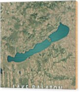 Lake Balaton 3d Render Satellite View Topographic Map #2 Wood Print