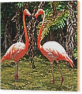 2 Pink Flamingos Wood Print