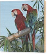 Red And Green Macaw Ara Chloroptera Wood Print