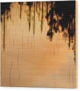 Reflections Wood Print