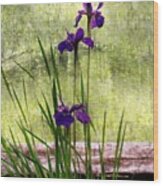 Siberian Iris   #2 Wood Print