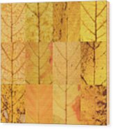 Swatches - Autumn Leaves Inspired By Gerhard Richter #4 Wood Print