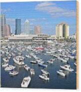 2013 Gasparilla Pirate Fest Wood Print