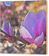 2015 Early Spring Magnolia Wood Print