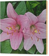 2015 Summer At The Garden Pink Lilies 1 Wood Print