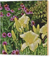 2016 August In The Garden Lilies And Coneflowers 1 Wood Print